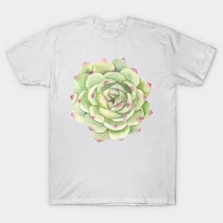 Desert Rose, Succulent Greenery T-Shirt